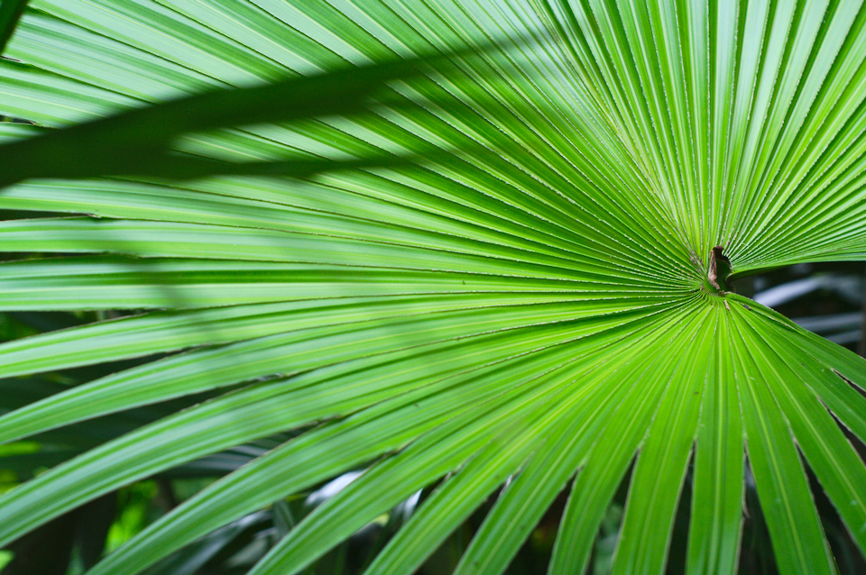 &copy; 2025 Pencil Case Studios